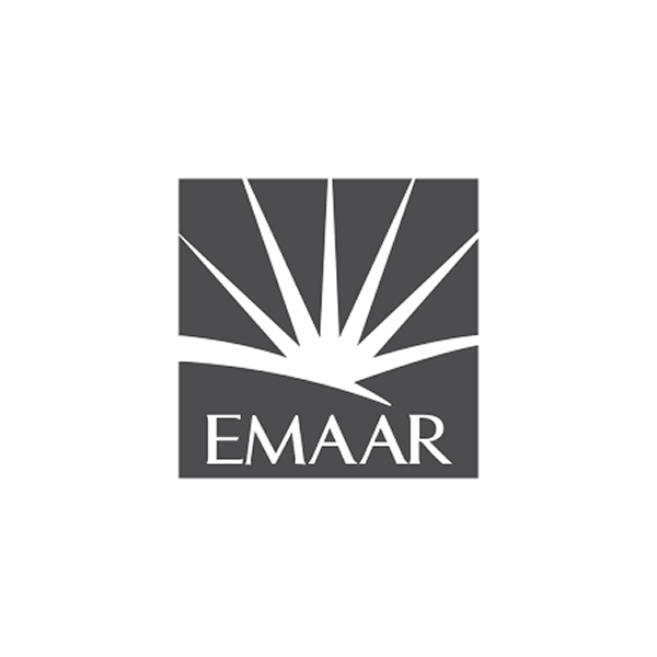 Developer Logo 5